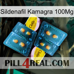 Sildenafil Kamagra 100Mg cialis5